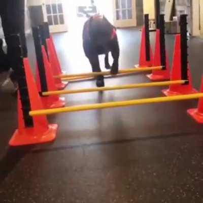 Training? What training?