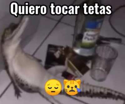 :(