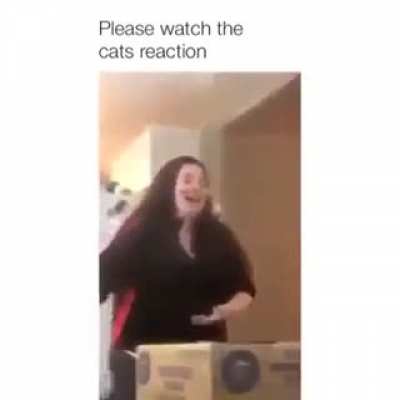 Boo