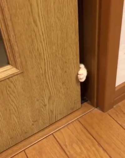 Who is there?