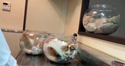 Nap time