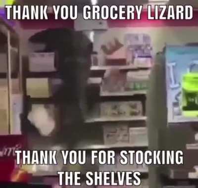 he is very hard working 😎👍