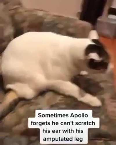 Such a pure soul