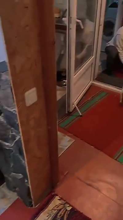 Random Chihuahua moment 