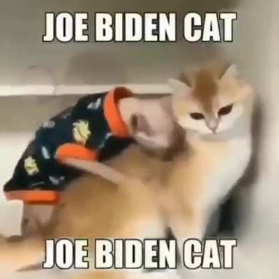 Joe??😳😳