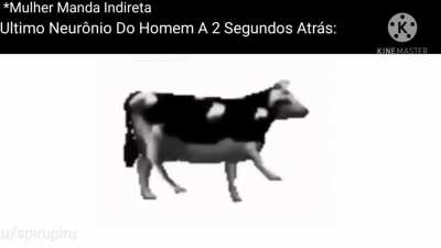 Muito verdade