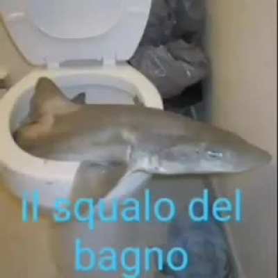 :0