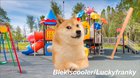 Le pain has arrived
