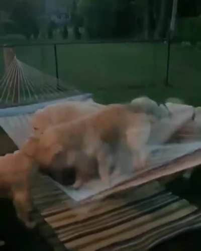 Smothered by love