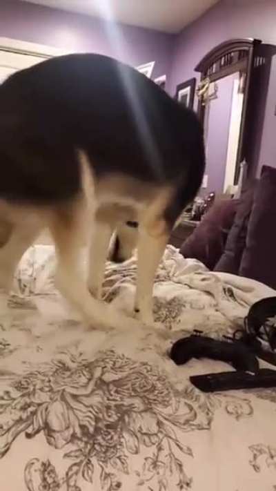 Watch a scary movie and go to sleep