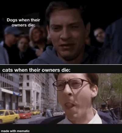 I can confirm