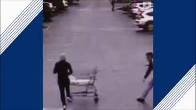 Thief gets carted