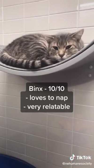 All good pets