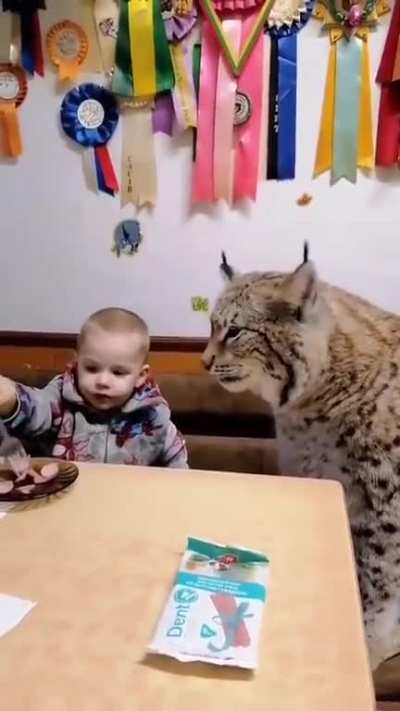 blursed_pet