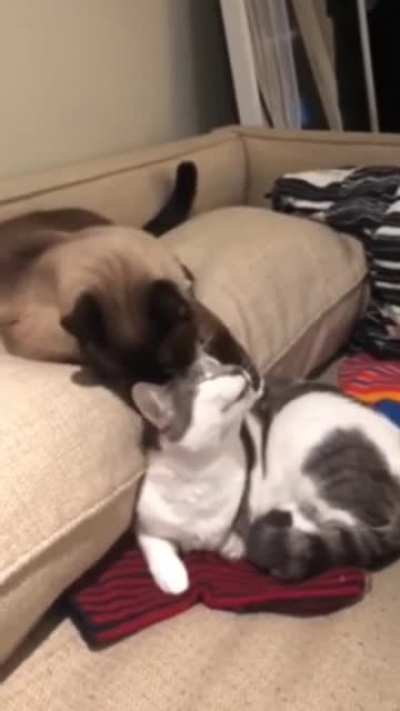 Come here!