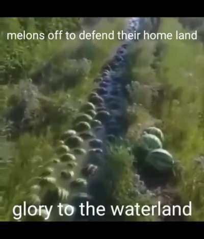 Melon