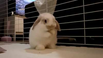 When you take your time getting ready in the morning and realize you’re late for work