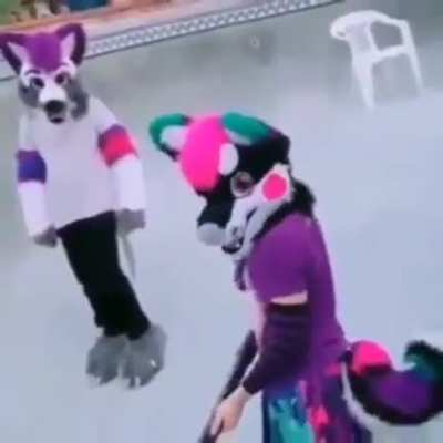 furry_irl