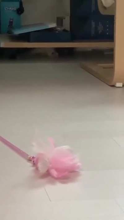 While playing catch