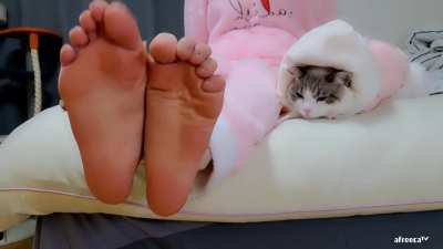 로링♥(k<wbr>choij<wbr>)