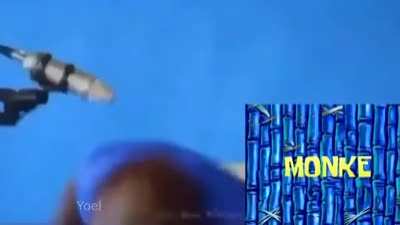 Se escucha hasta el golpe que se dió el monke