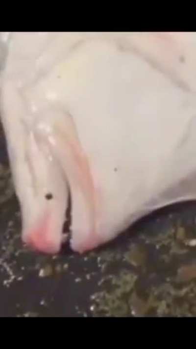 roblox slender kids when their parents dont let them spend 300$ to have half a leg in a lego game just to e-date