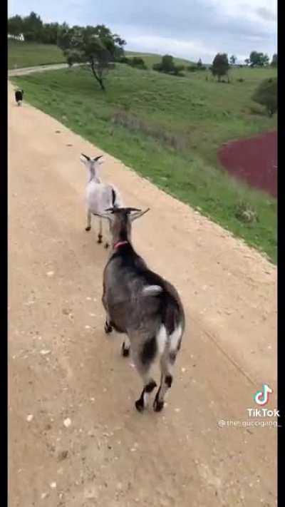 Family Adventure