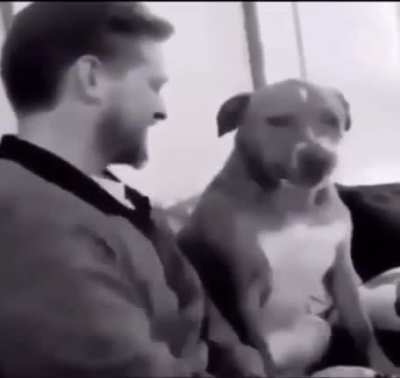 Sigma Dogo