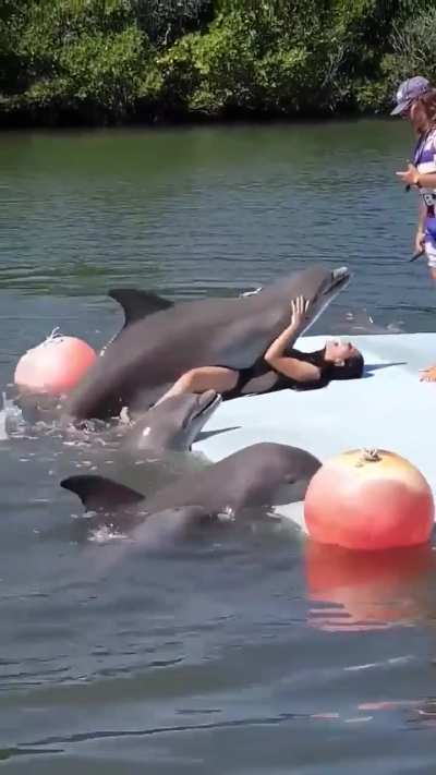 🐬🐬🔞