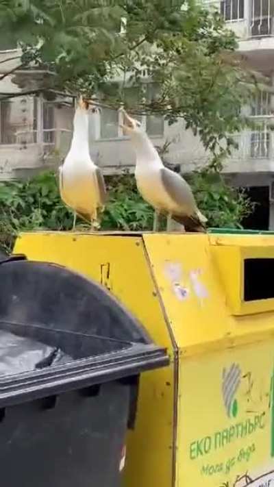 They are up to something