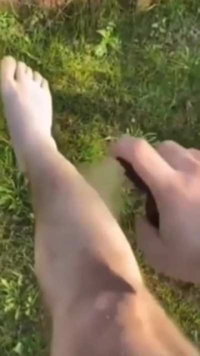 Tanning, amirite?