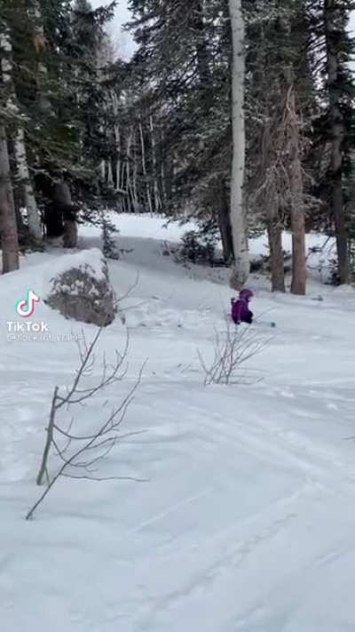 Skiing