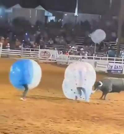 Torito bravito