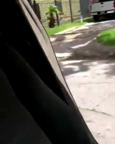Trying to hop out of your moving car for a tiktok trend.