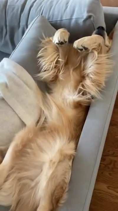 Do not disturb