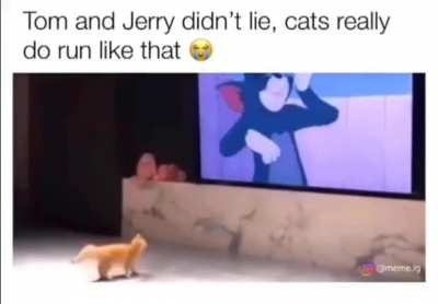 It’s true