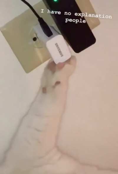 Charging up to connect to the alien world