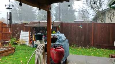 It rained very hard today.