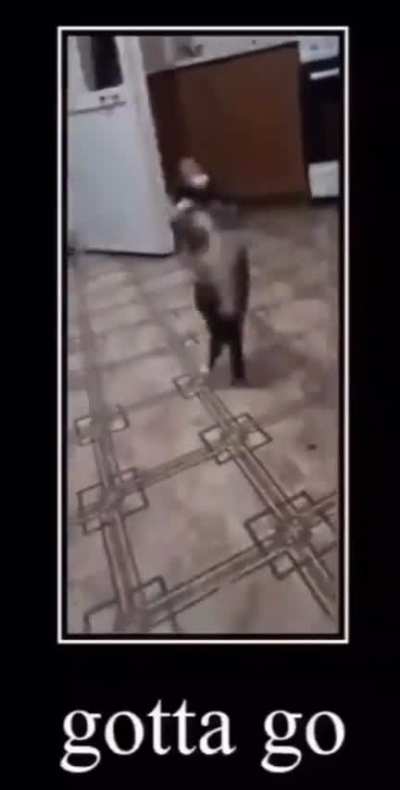 the great escape