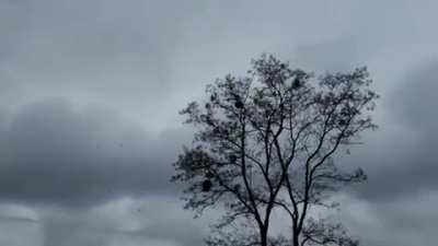 A Ukrainian MiG-29 Fighter Jet has downed SIX Russian Aircraft so far and people are calling it, the 