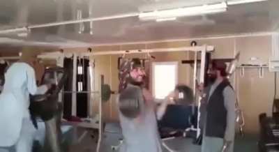 Tallies discover gym. Become gym bros.