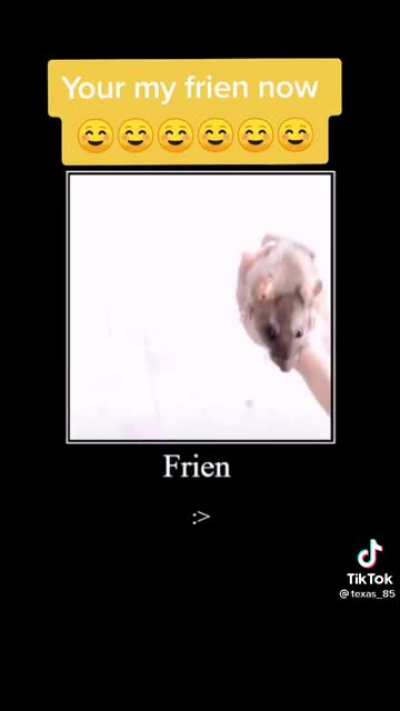 Fren
