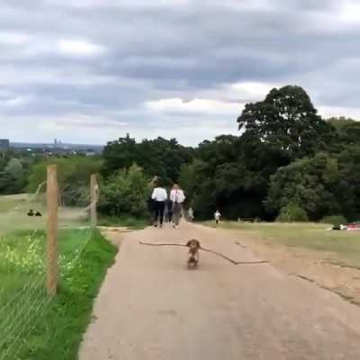 Maybe Maybe Maybe