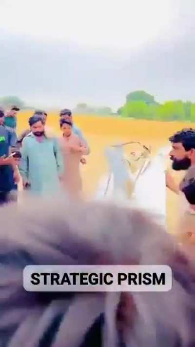Local Pakistani residents reportedly shot down some of the Harop 
