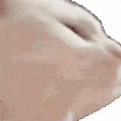 Have some catjam while getting some free karma :) <3