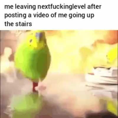 why are you booing me I'm right
