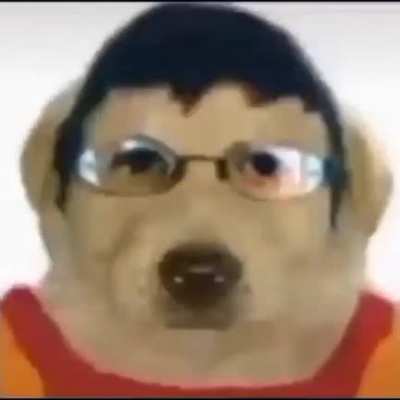 Mclovin perro