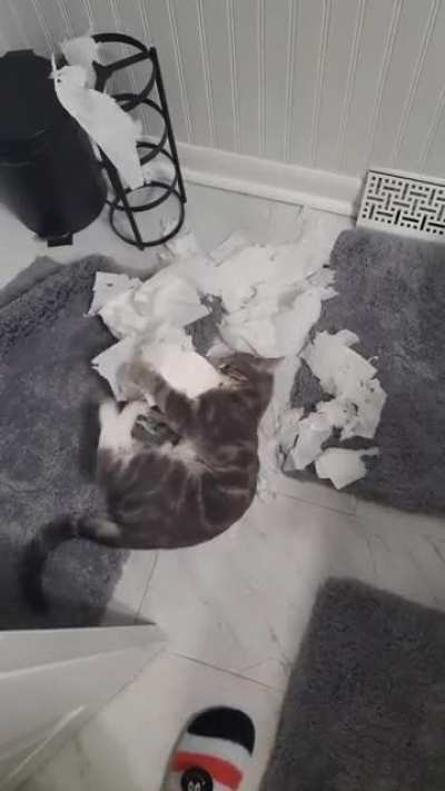 i left him unsupervised for 2 minutes