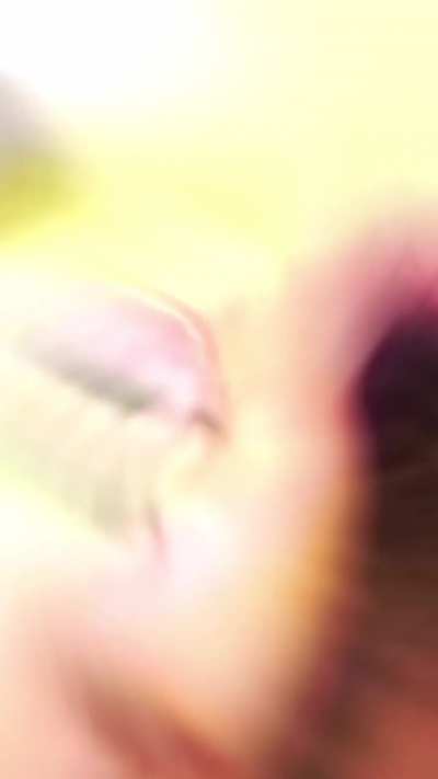 Lolaf<wbr>romsh<wbr>arkta<wbr>les 