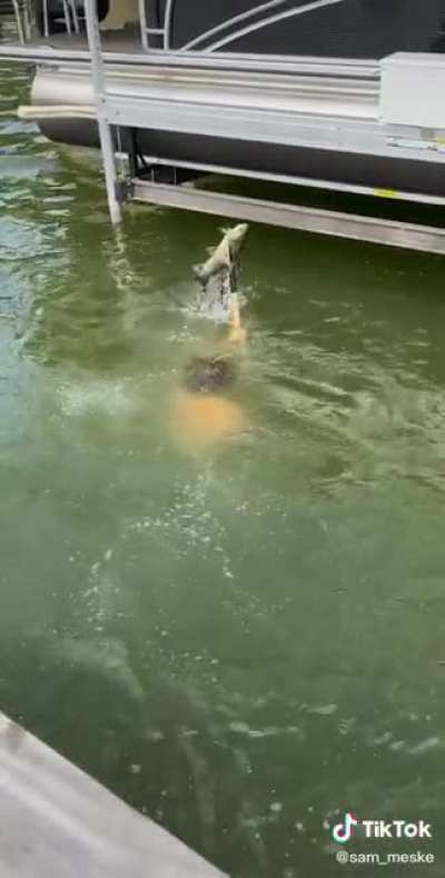 Aquaman style